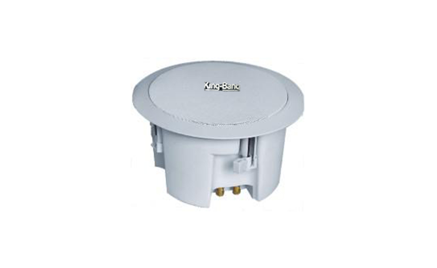 天花揚(yáng)聲器S-565A